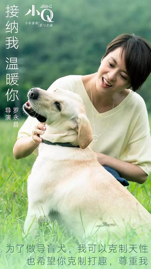 十文字学園女子大学环境科学学位证书